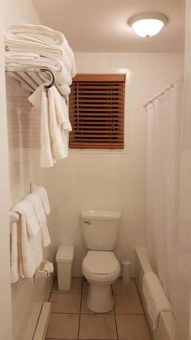 2-Bedroom Apartment Sweet #5 By Amazing Property Rentals Gatineau Kültér fotó